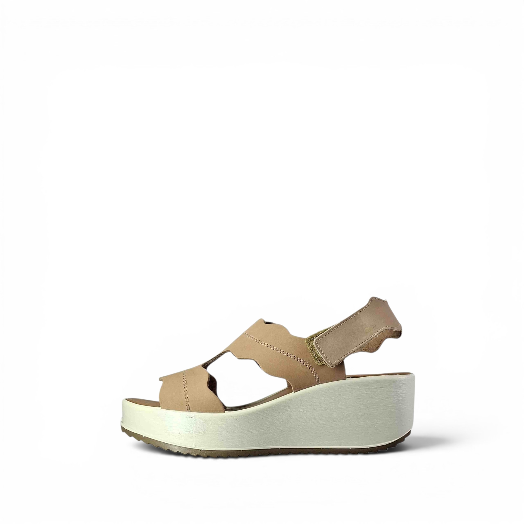 Igieco D.Candy Sandali da Donna